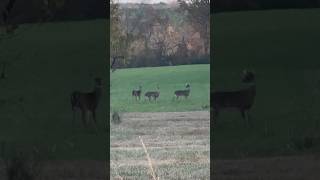 He Aint But That Big