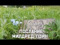 Послание от Оракула Милдред Пэйн