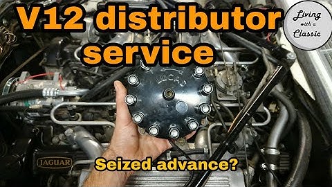 Jaguar V12 distributor Seized - Check and service V12 distributor - How to tune a Jaguar V12 Part 3