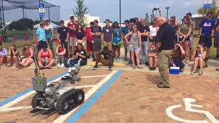 Famous BCSO shows off their bomb squad robot to STEM campers Net Worth