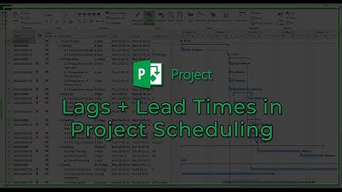Lags and Lead Times - Microsoft Project Professional