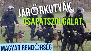 Járőr és csapatszolgálati kutyák a Magyar Rendőrségnél!