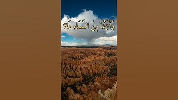 تلاوة عطرة بصوت رائع وجميل القارئ مصطفى الفرجاني