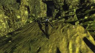 Guild Wars 2 GW2 Transform Emote
