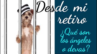 Qué Son Los Devas O Ángeles? Desde Mi Retiro 182