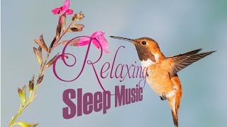 Soothing Relaxation Music, Relaxing Piano Music, Sleep Music, Water Sounds, Relax Music