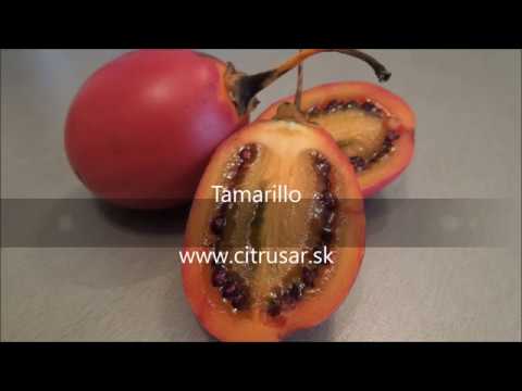 Video: Ako Jesť Tamarillo