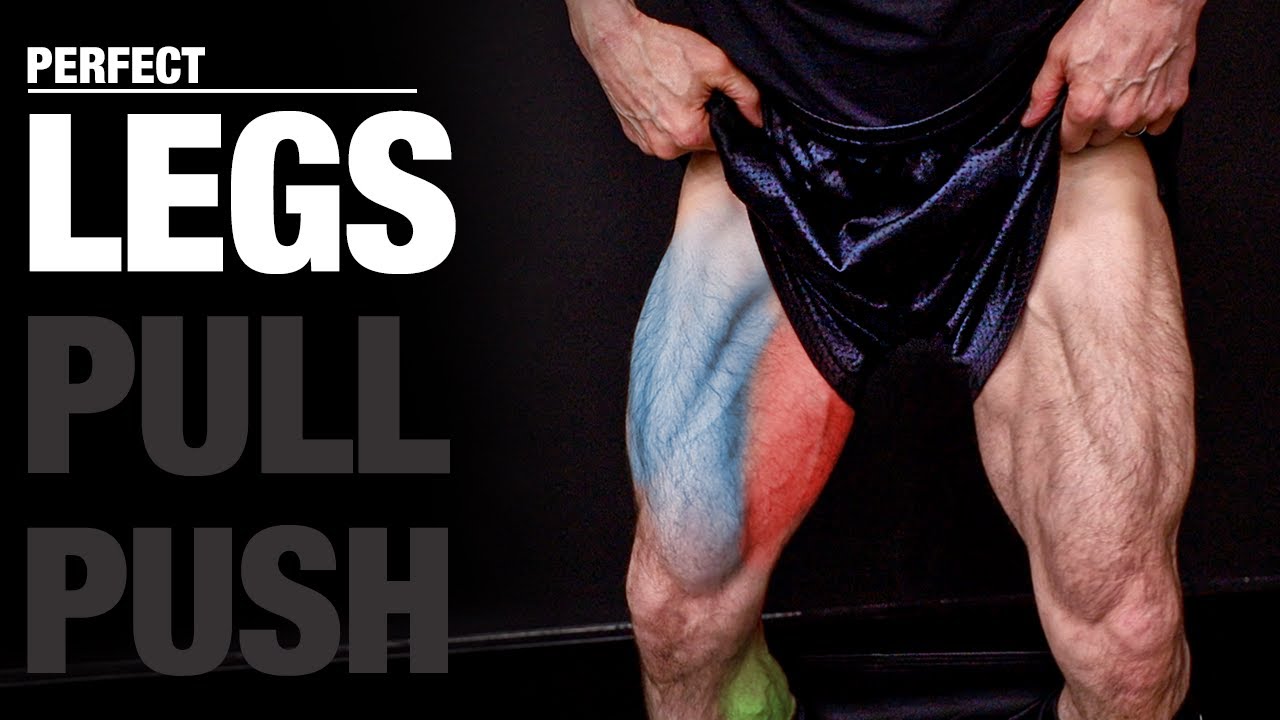 The PERFECT Legs Workout (PUSH | PULL | LEGS)