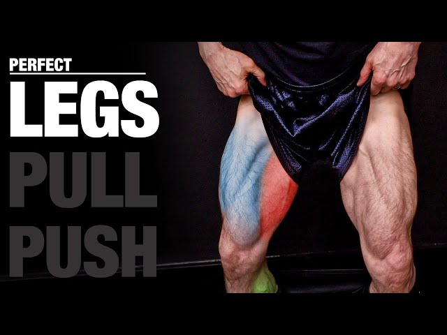 The PERFECT Legs Workout (PUSH, PULL