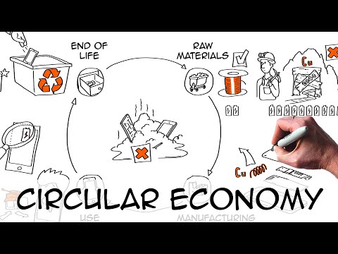 Circular Economy: definition & examples | Sustainability Environment -  YouTube