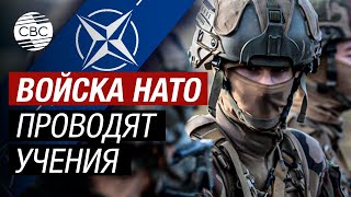 НАТО в действии: Военные учения в Эстонии подчеркивают готовность альянса к реагированию