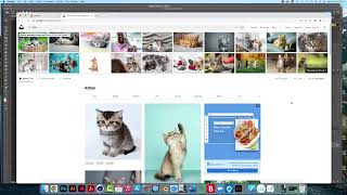 Unsplash for free photos screenshot 5