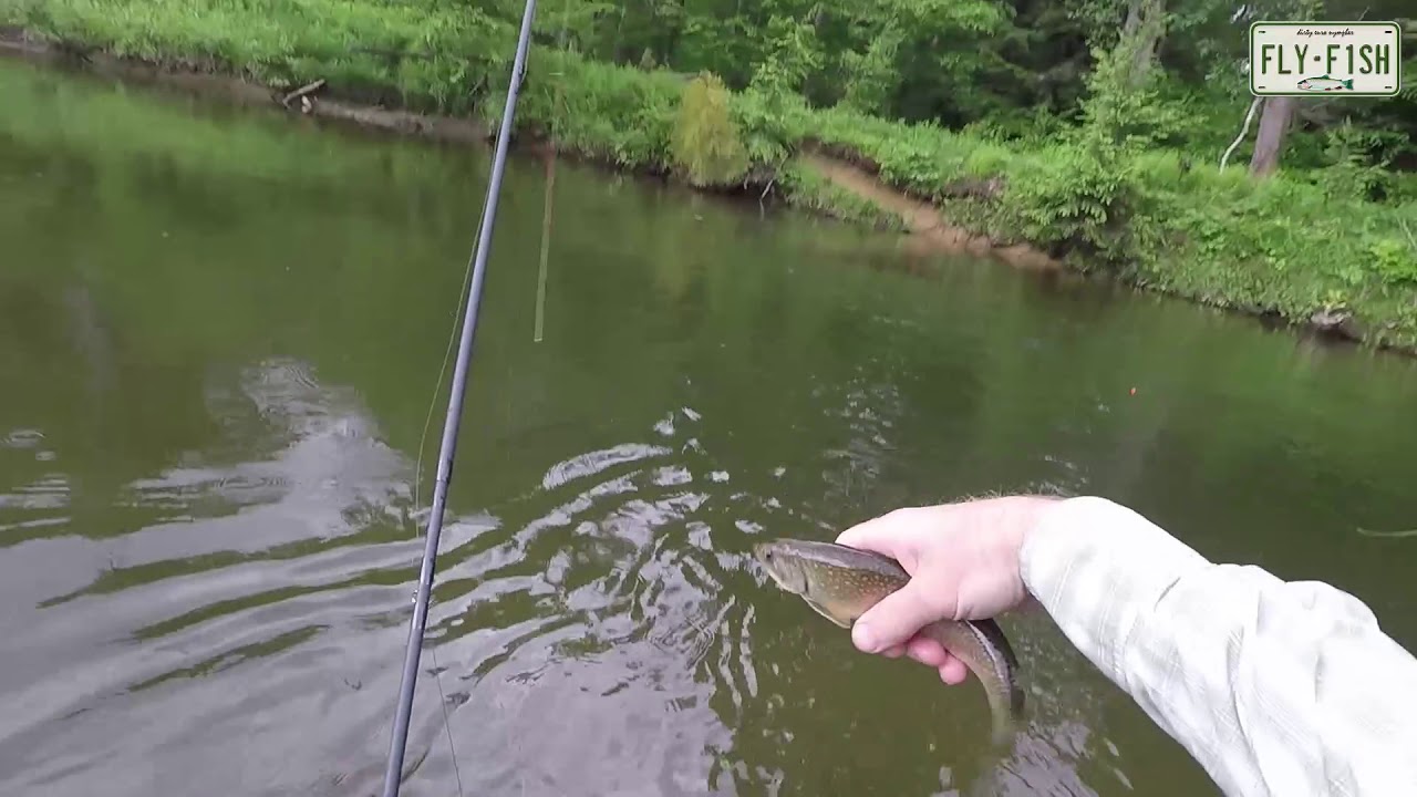 Fly Fishing Marienville PA YouTube