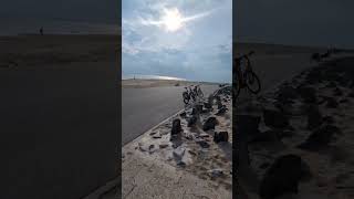 Norderney Beach Weed / Ich bin Kiffer 🏝️🙌💚💯 #norderney #inselleben #growupdate #viral #420