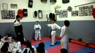 WP 20150619 004