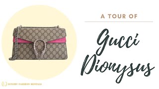 Luxury Handbag Tour Gucci Dionysus Small Shoulder Bag Luxury Fashion Rentals