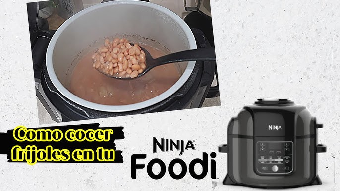 Ninja OS301/FD305CO Foodi - Olla a presión 10 en 1 y freidora de aire con  estante anidable, capacidad de 6.5 cuartos de galón y un acabado inoxidable