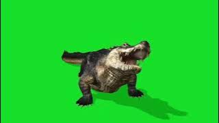 green screen buaya