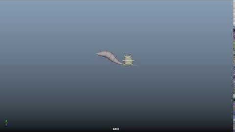 Squirrel Test Animation - Tail Overlap & Followthrough