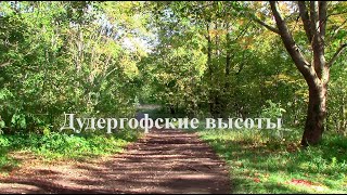 картинка: Тихая прогулка по Дудергофским высотам в одиночестве