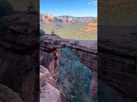 أول رحلة لرسول الله ﷺ إلى الشام مع عمه ابو طالب توقف قافلتهم عند صومعة الراهب بحيرى