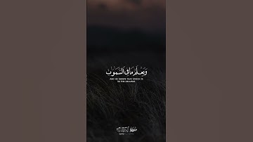 قل إن تخفوا مافي صدوركم او تبدوه يعلمه الله 🤍 | إسلام صبحي | قرآن كريم