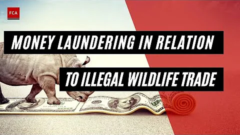 The Dark Nexus: Money Laundering in the Shadows of Illegal Wildlife Trade