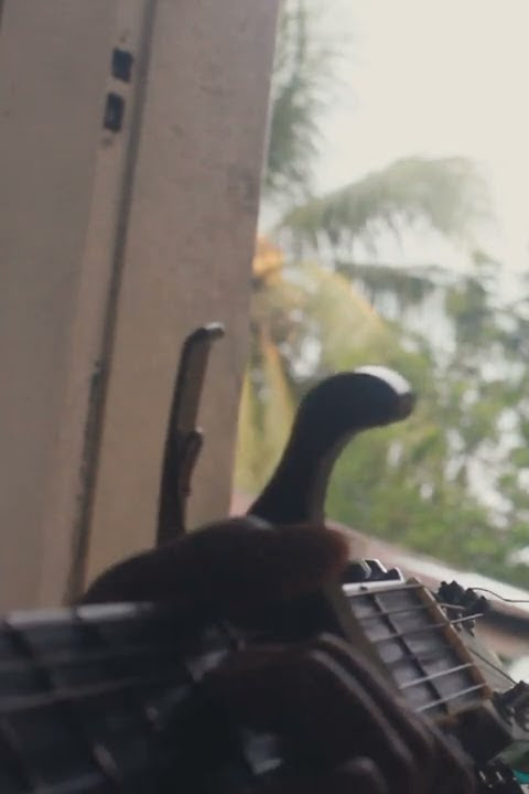 Story WA Gitar Keren | Terbaru 2022