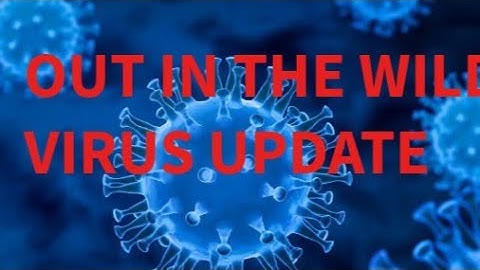 Update over het Out In The Wild-virus.