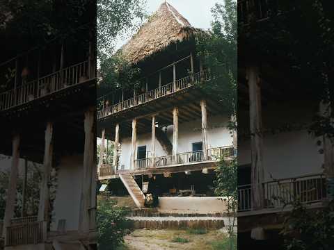 حکایت گربه رو وخونه های سنتی قدیمی   رشت گیلان