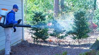 Bug Busters' Mosquito Service