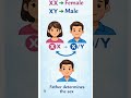 Human Genes