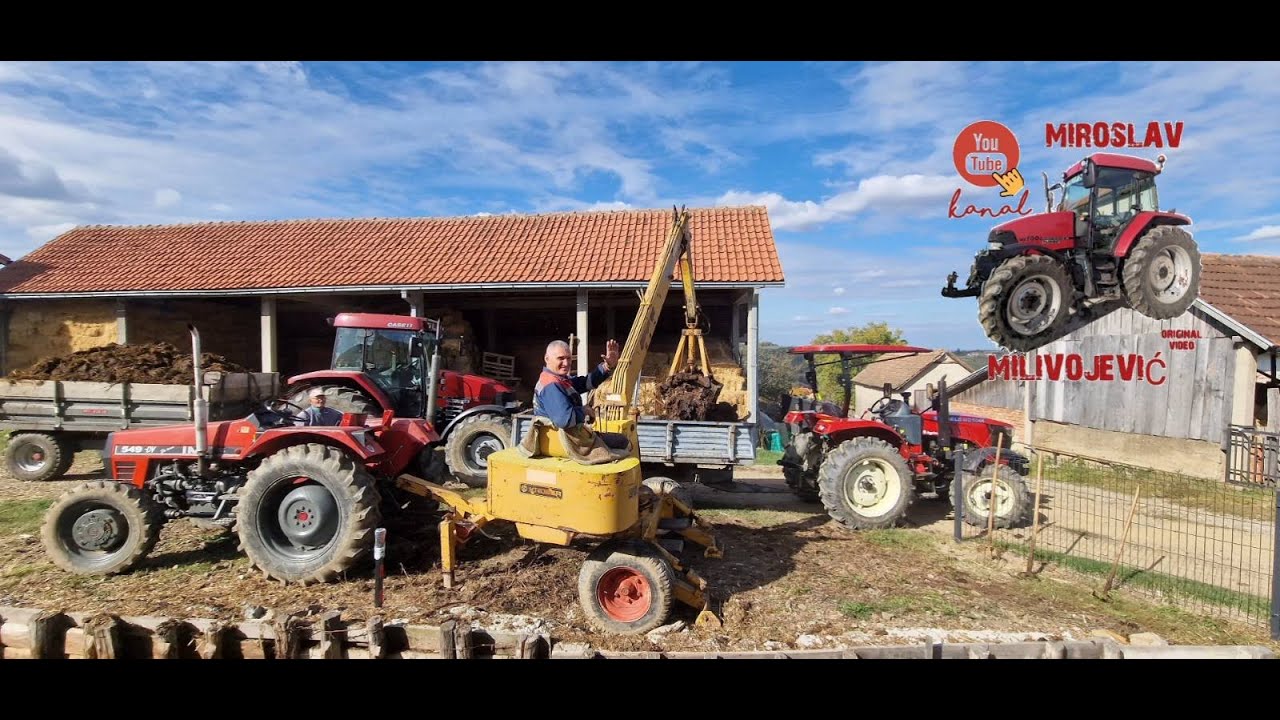 Utovar i vuča stajnjaka sa tri traktora! @agrinovsrs