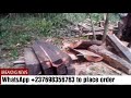 Black & White Ebony Woods For Sale Worldwide WhatsApp +237698356763 Black & White Ebony Woods For Sale Worldwide WhatsApp +237698356763
