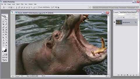 Morphing Creatures using photoshop Part 3