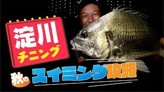 淀川チニング 秋のスイミング攻略 Youtube