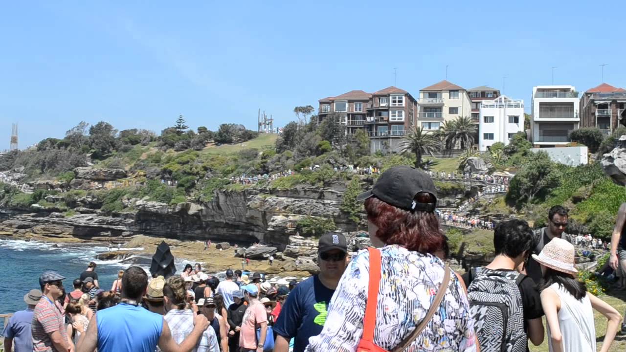 bondi 8 reddit