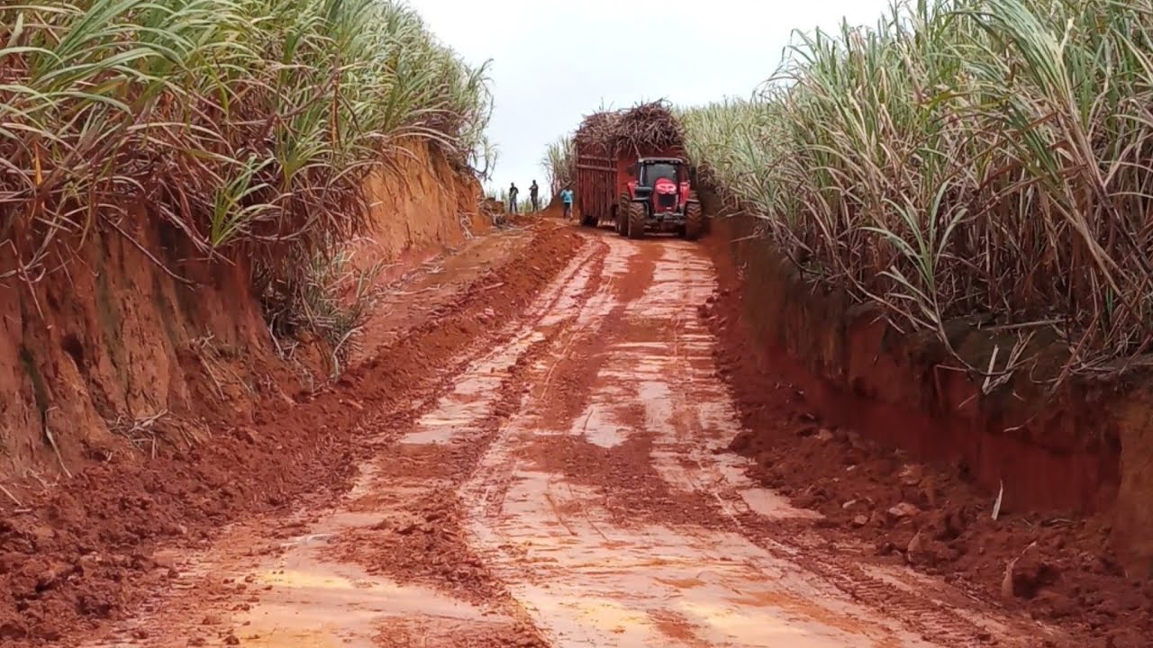 Vida de Canavieiro tem que ter Coragem O serviço é bruto!!! Grupo JB Tratorista Cicinho
