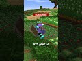 200 الف طماطم في ماين كرافت عمر فايف