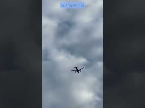 Asiana Airlines