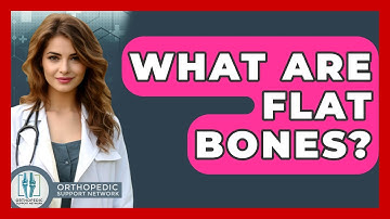 What Are Flat Bones? - Orthopedic Support Network