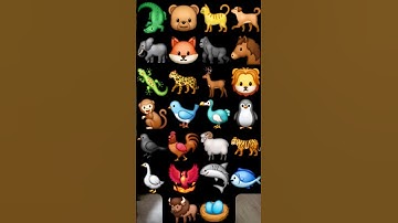 Thumbnail of Abc alphabet song Zoo Animal...