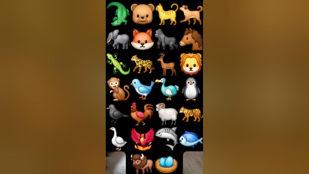 Abc alphabet song Zoo Animal...