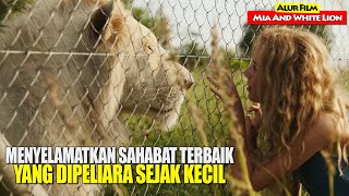 Kisah Persahabatan Anak Manusia Dengan Seekor Singa | Alur Cerita Film MIA AND WHITE LION (2019)