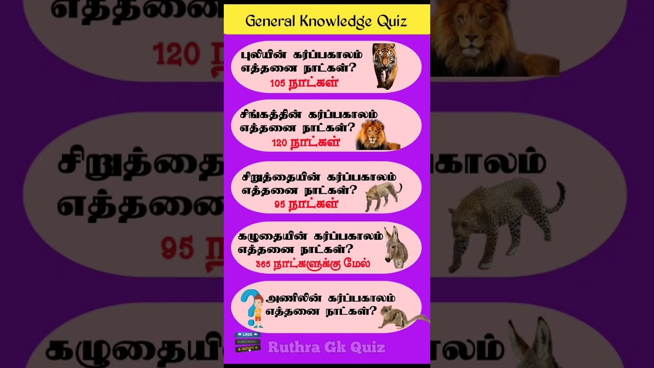 பொது அறிவு- 41 