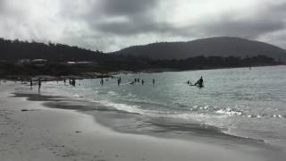 Beach at Bicheno, Tasmania
