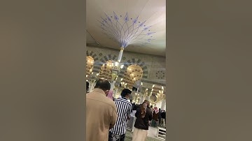 تلاوة جميلة من خواتيم سورة الأعراف للشيخ د.أحمد الحذيفي فجر الأربعاء ١-٧-١٤٤٣هـ