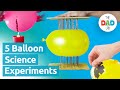 5 science experiments with balloons