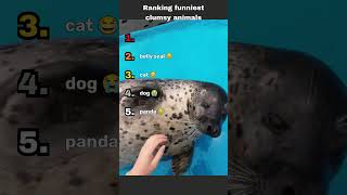 Top 5 Clumsiest Animals On The Internet