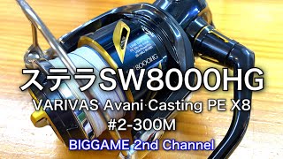 19ステラSW8000PG pe付き(アバニ10×10 3号300m) シマノ 19 ステラSW 8000PG 新品 PEライン バリバス アバニ